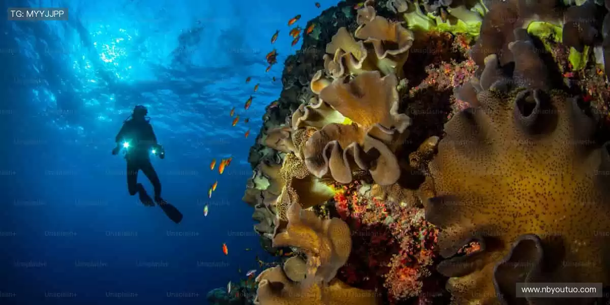 全球赛事同步追,精彩瞬间不错过!🌍⏯️