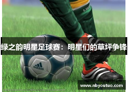 绿之韵明星足球赛：明星们的草坪争锋