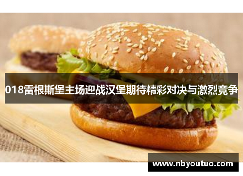 018雷根斯堡主场迎战汉堡期待精彩对决与激烈竞争