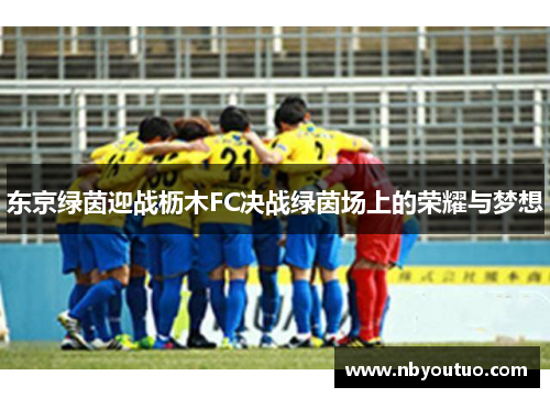 东京绿茵迎战枥木FC决战绿茵场上的荣耀与梦想